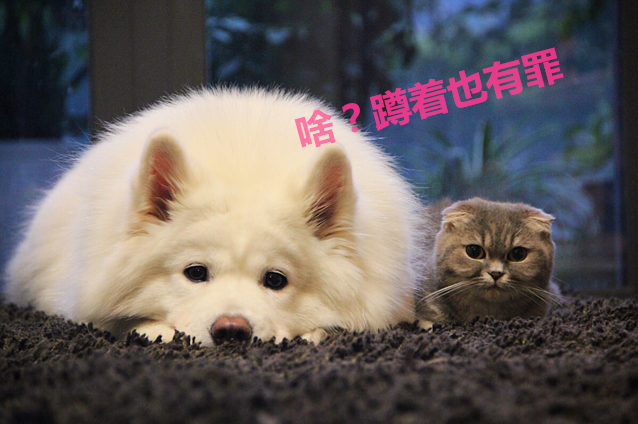 時尚辦公家具