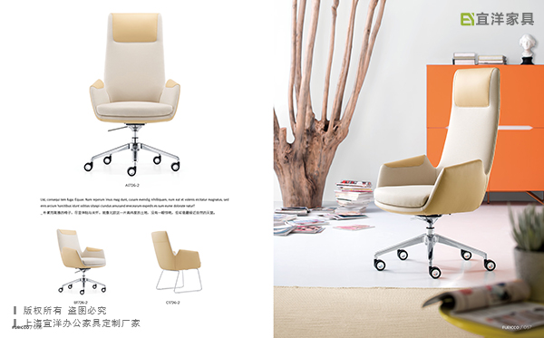 靠背椅,休閑辦公椅,廈門(mén)辦公家具